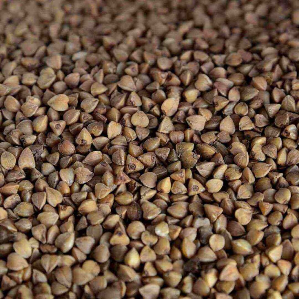 Grano saraceno