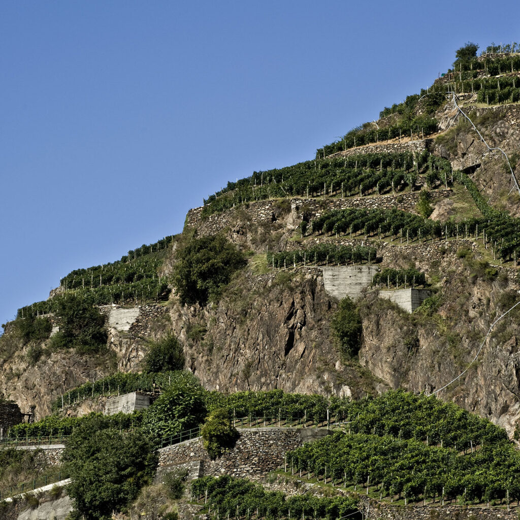 GAL Valtellina - versante retico
