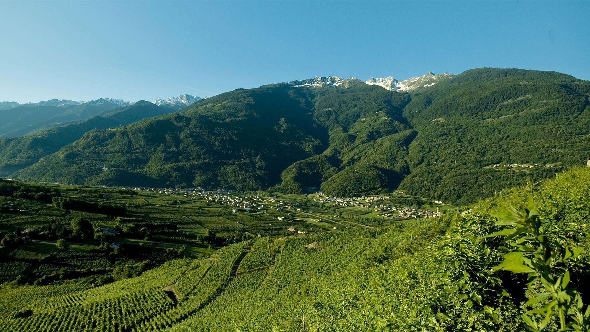 gal valtellina valle dei sapori