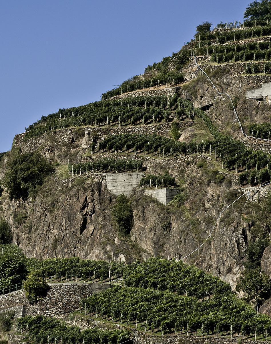 Territorio Valtellina