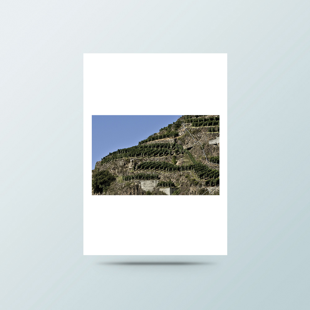 Progetto LeaderIn